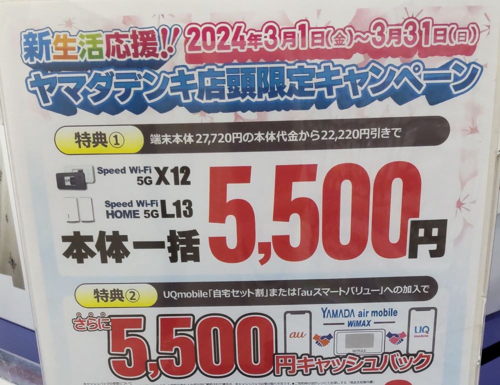 ヤマダ電機店舗キャンペーン