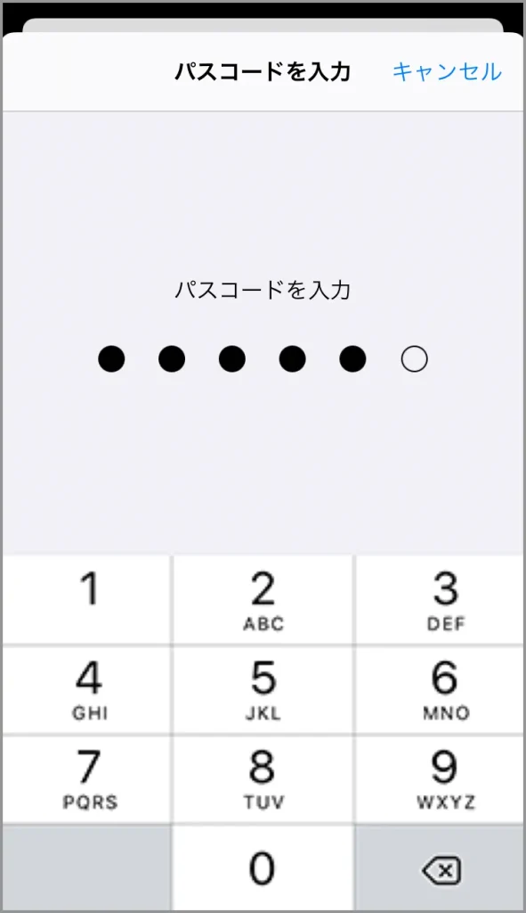 iPhoneのAPN設定③