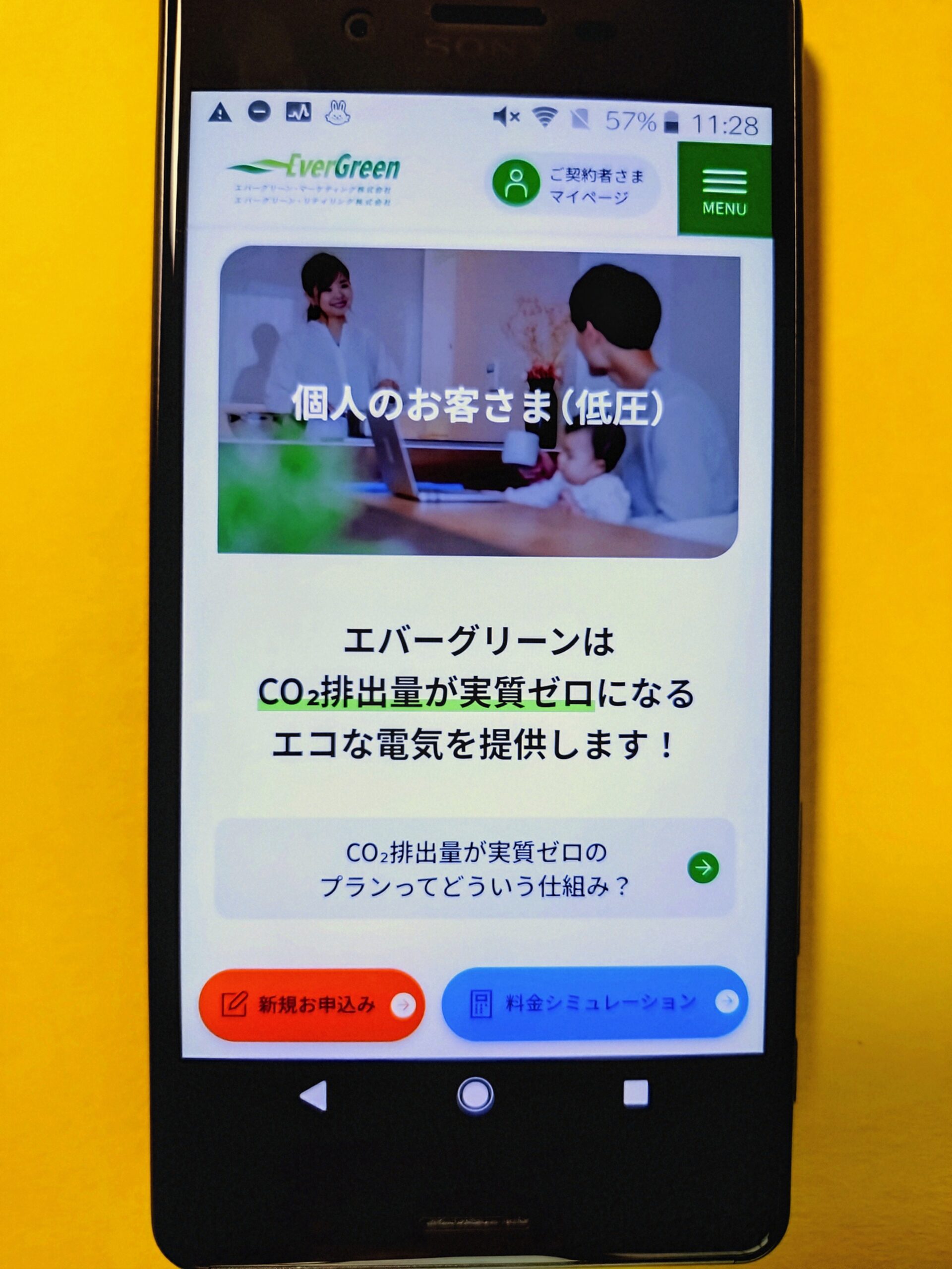 エバーグリーン・リテイリング TOP