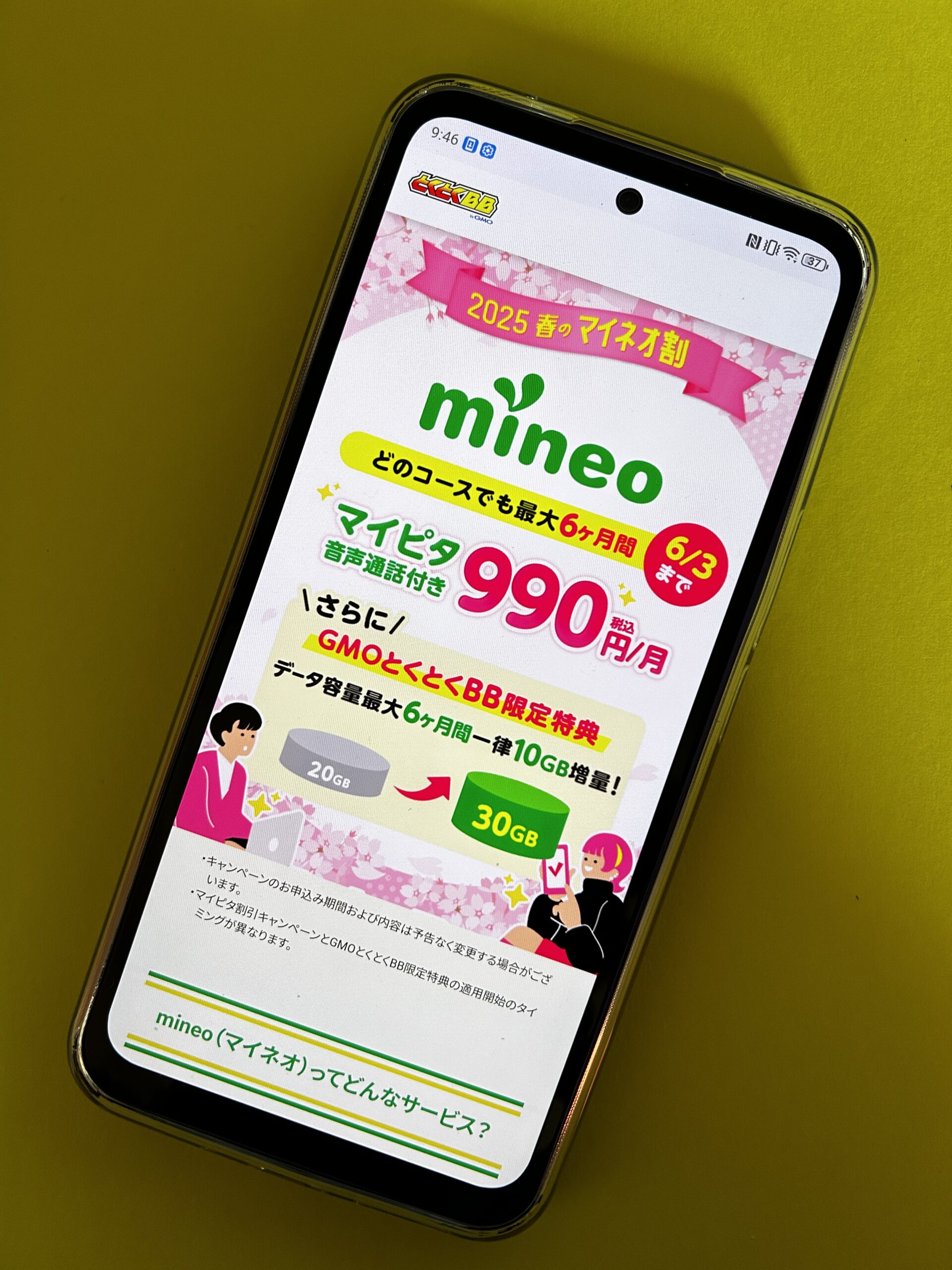 GMOとくとくBB光のmineoキャンペーン