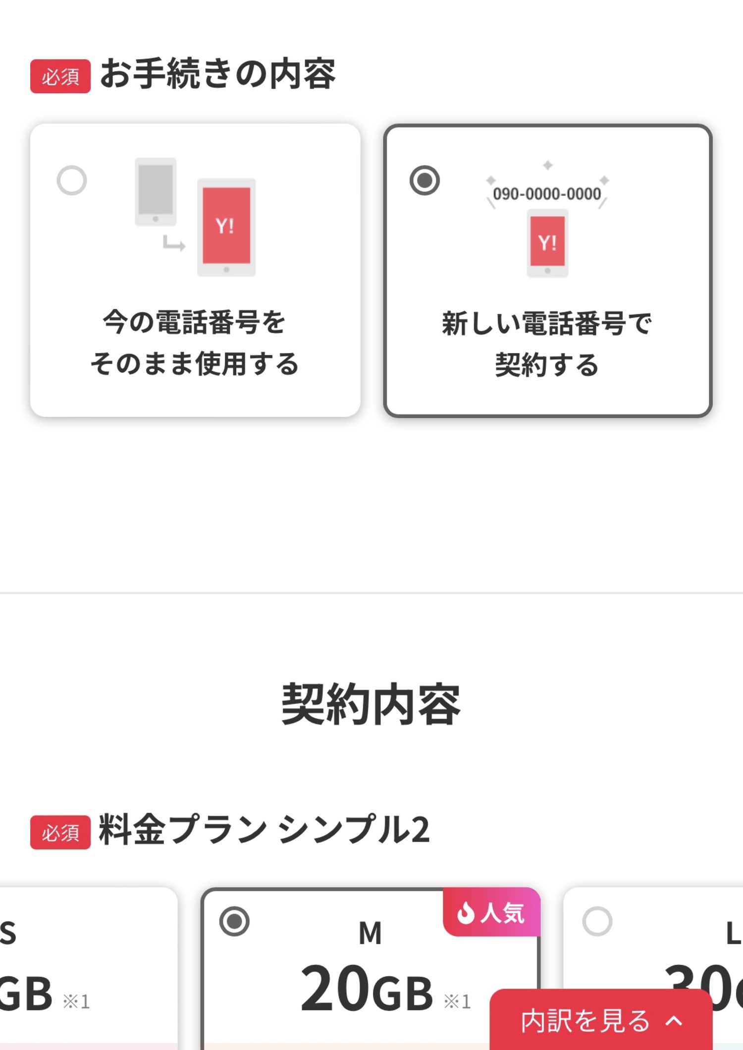 3:カラー・契約方法・プラン・オプションを選択する