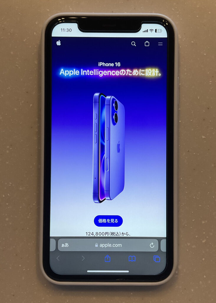 アップルストアオンライン申し込み2