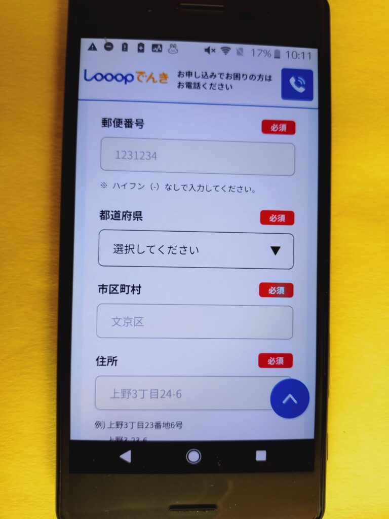 Looopでんき 申し込み契約者情報入力1