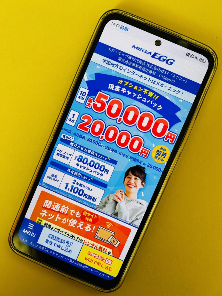 メガ・エッグ光のトップ画像