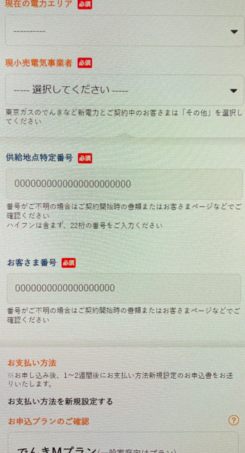 auでんき申し込み画面（その他キャリア）内容入力