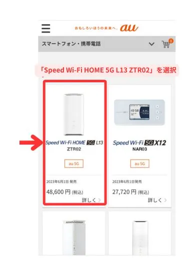 申し込み3