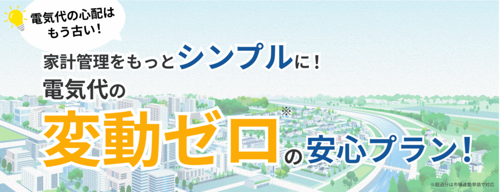 エバーグリーン・リテイリング 月額料金固定の新プランサービス