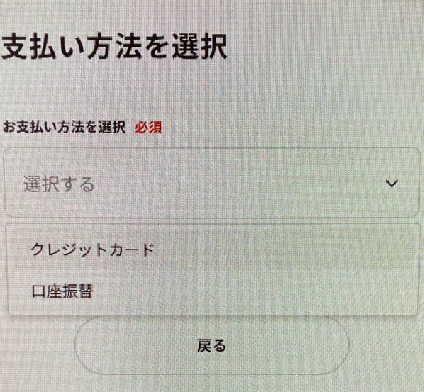 カブアンドでんきの申し込み画面（支払い方法選択）
