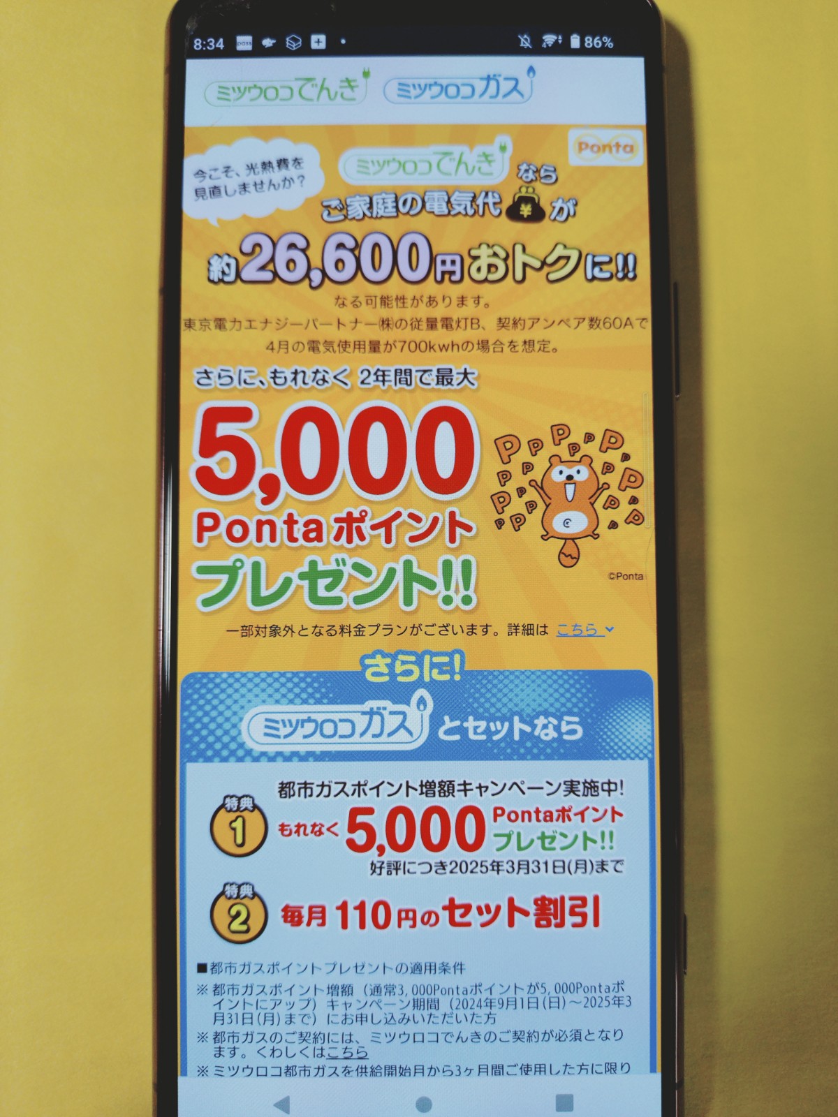 ミツウロコでんき　Pontaポイントプレゼントキャンペーン