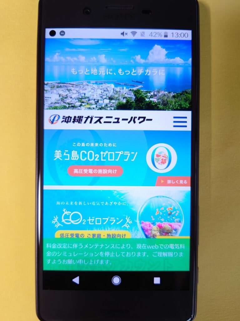 沖縄ガスニューパワー
