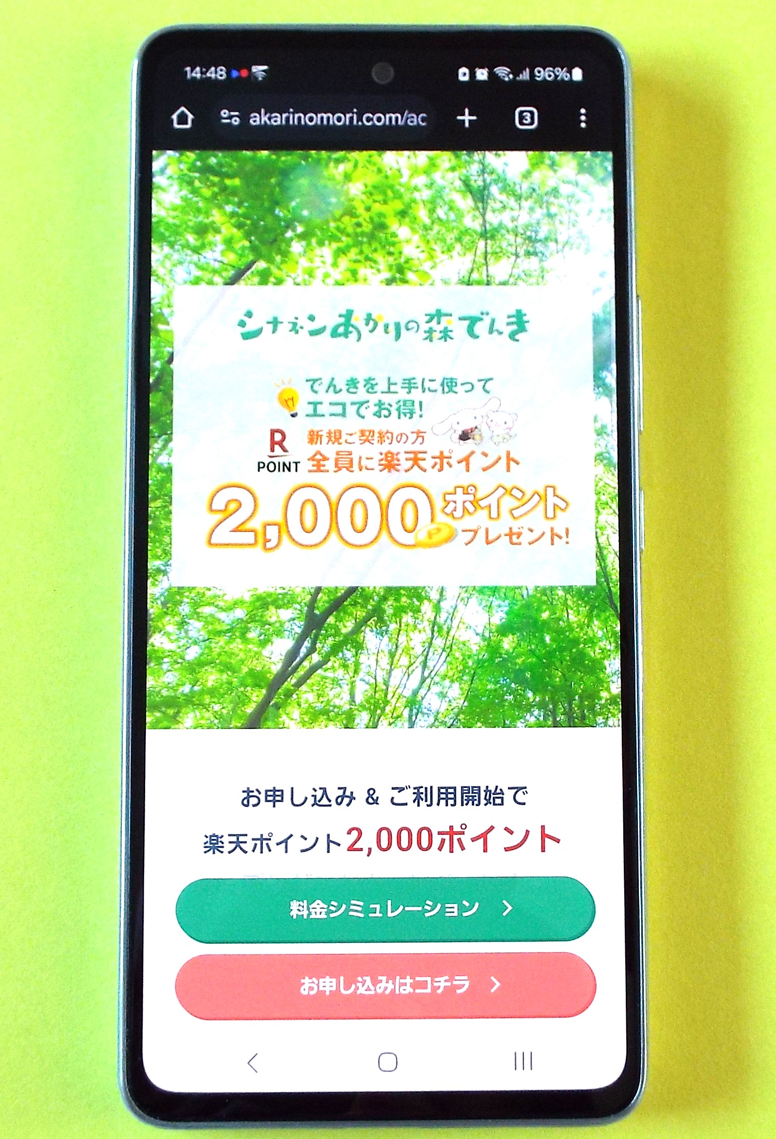 シナネンあかりの森でんき TOP