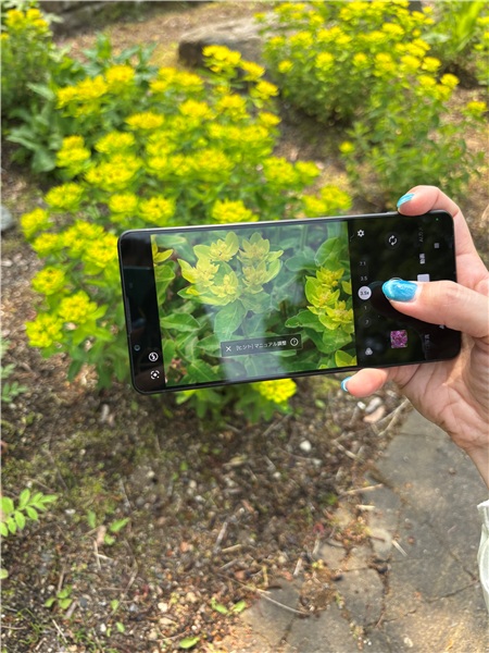 Xperia 1Ⅶレビュー　実機を片手で撮影