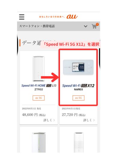 auオンラインショップ申し込み画面3