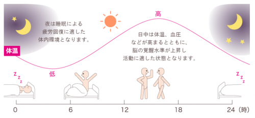 サーカディアンリズム