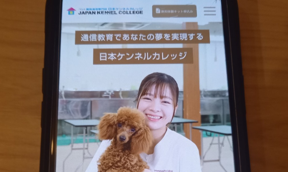 日本ケンネルカレッジ　トリマー