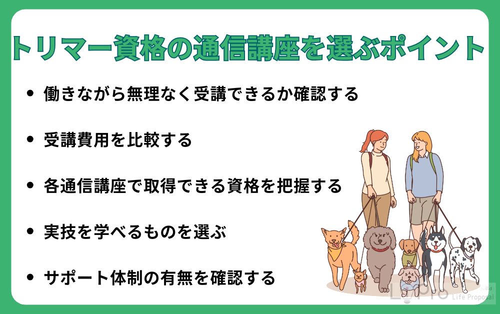 トリマー資格の通信講座を選ぶポイント