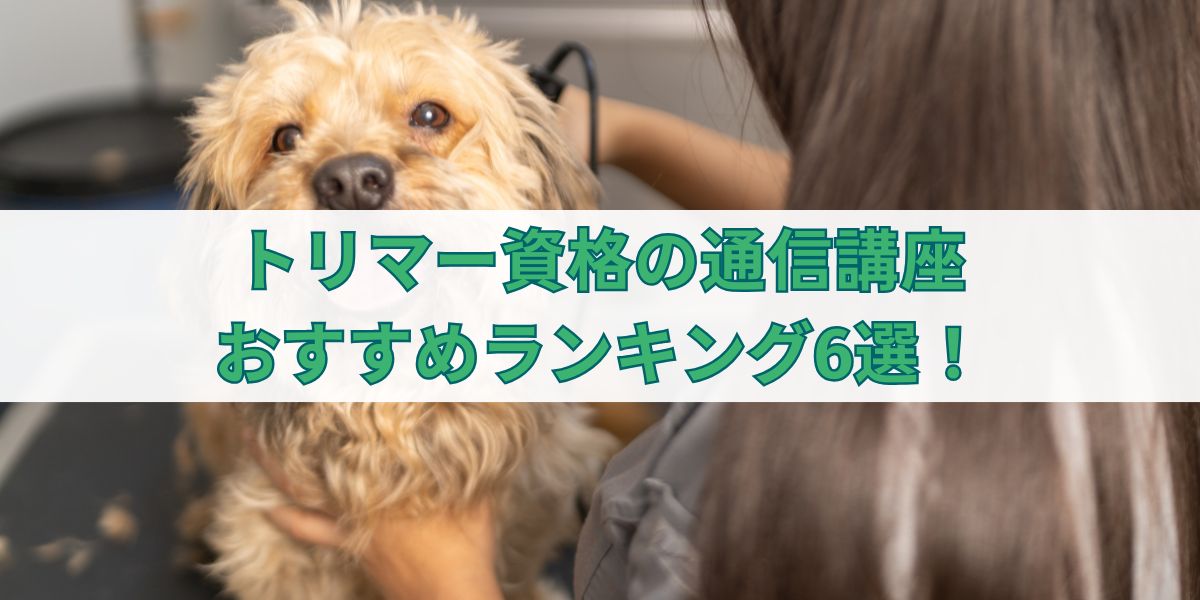 トリマー 資格 通信