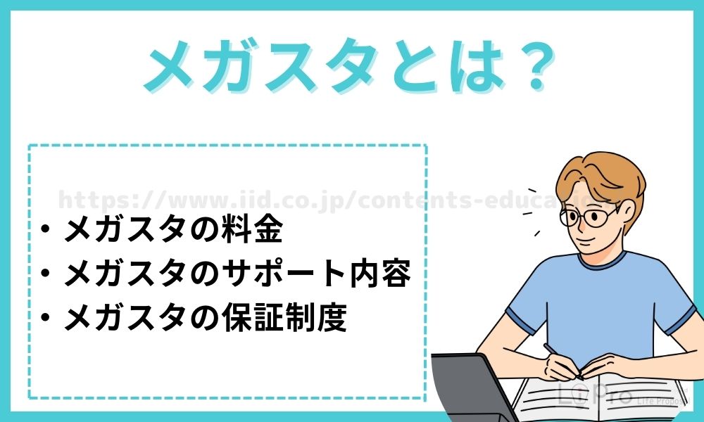 メガスタとは