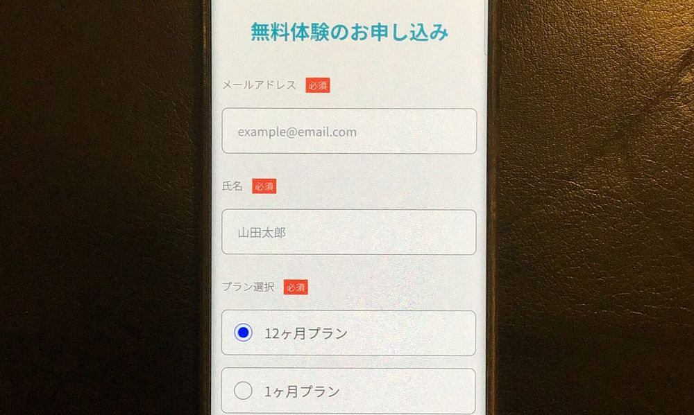 スピフル 無料体験のお申し込み画面