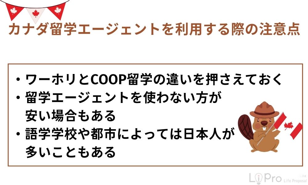 カナダ留学エージェントを利用する際の注意点