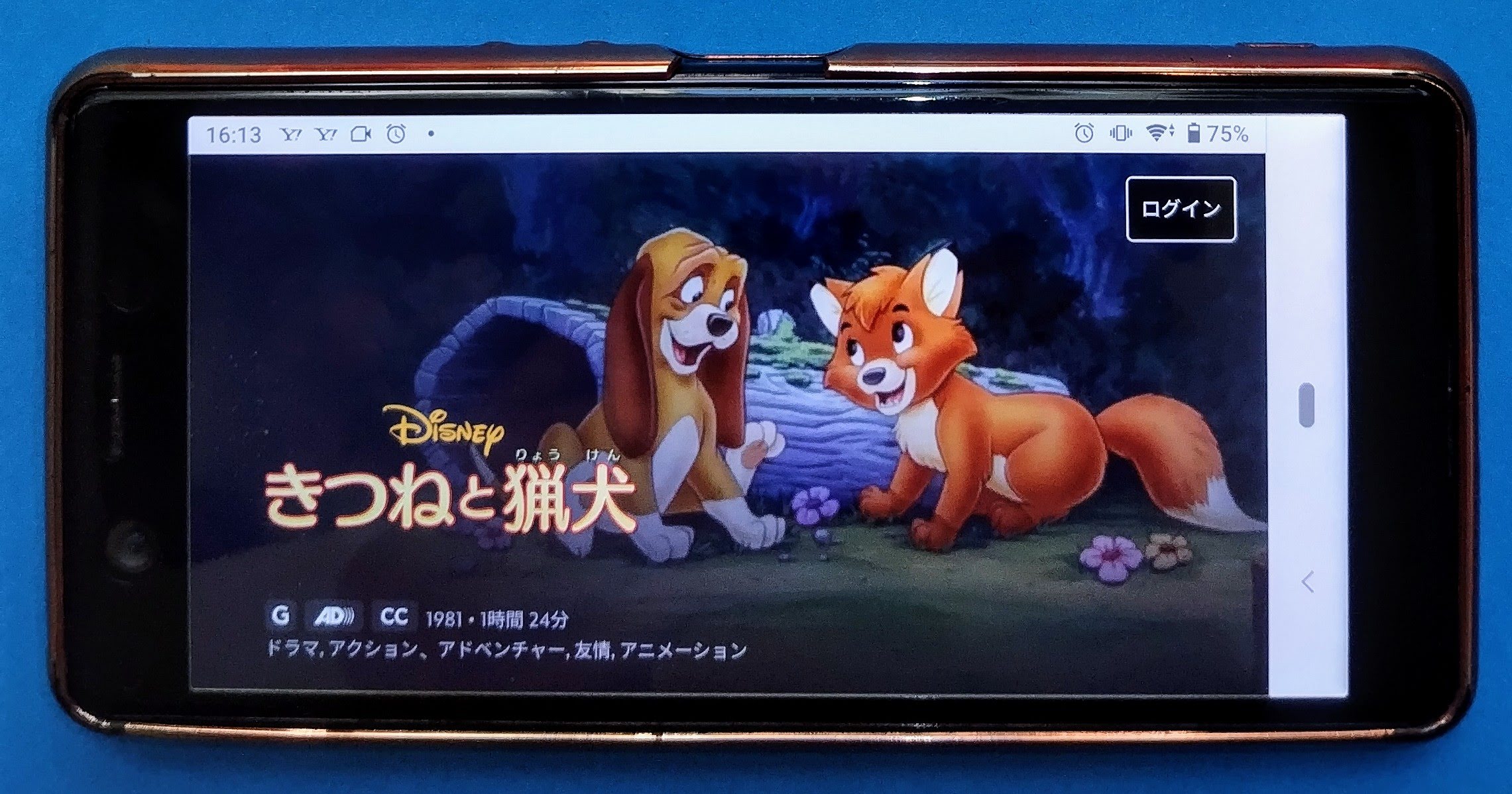 ディズニープラス泣ける映画おすすめ：きつねと猟犬