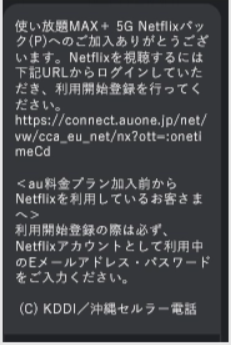 au×netflixパック申込