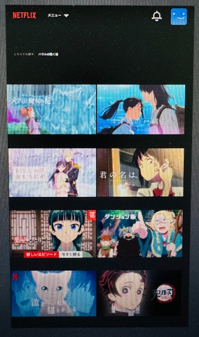 ハウルの動く城　配信　Netflix検索結果