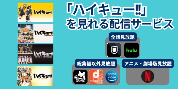 ハイキュー 配信サービス