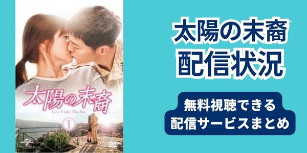 太陽の末裔 配信情報
