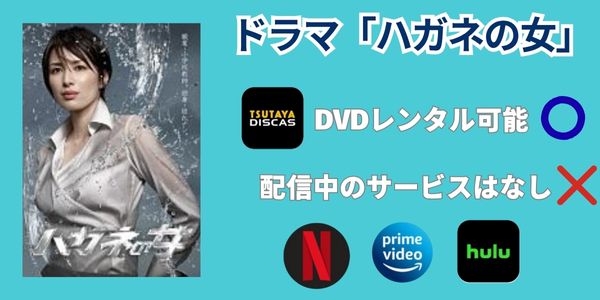 ハガネの女 配信状況