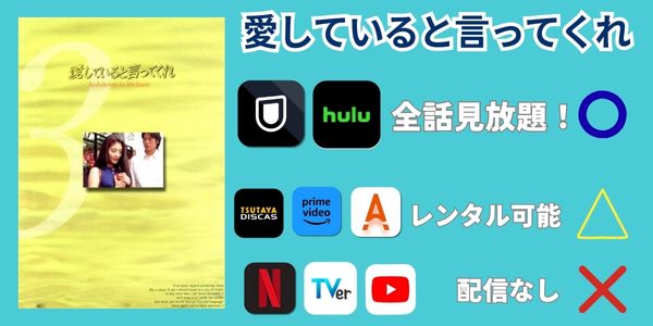 愛していると言ってくれ どこで見れる