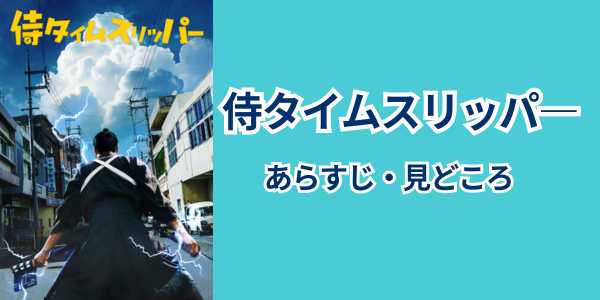 みどころ