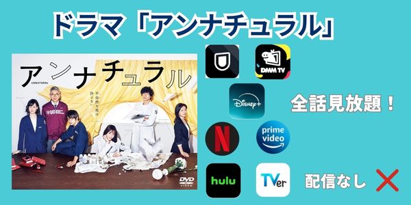 アンナチュラル 配信