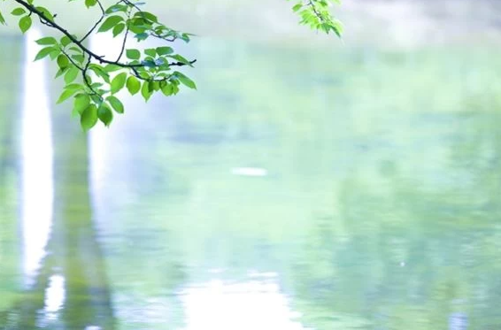 緒方智先生