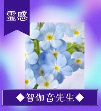 智伽音(ちかね)先生