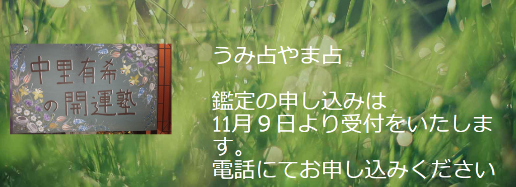 うみ占やま占