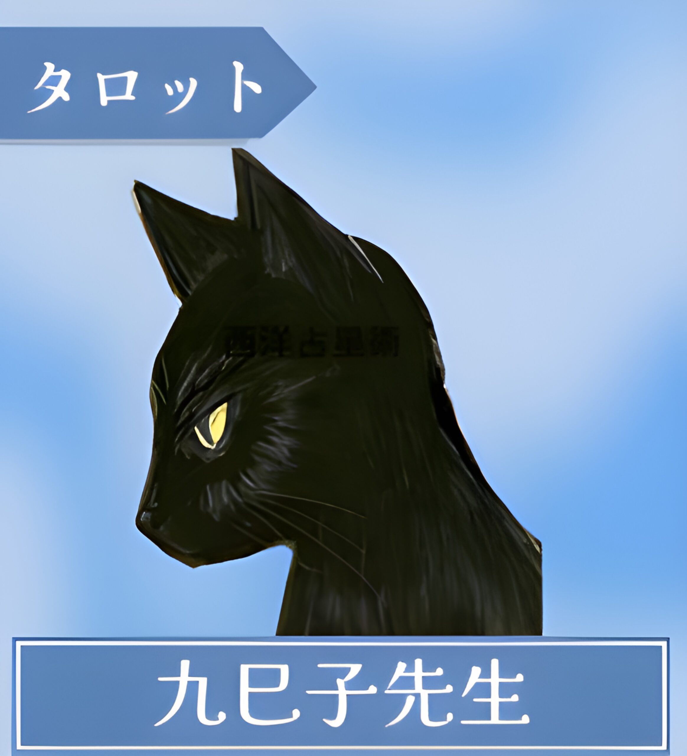 九巳子先生
