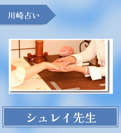 シュレイ先生