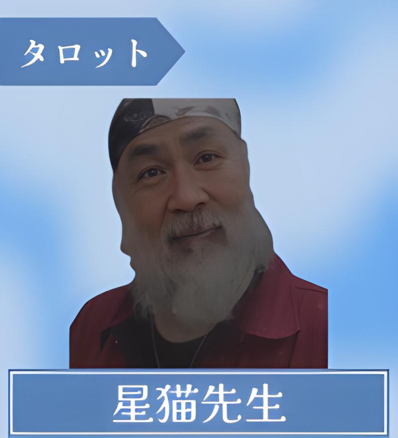 星猫先生