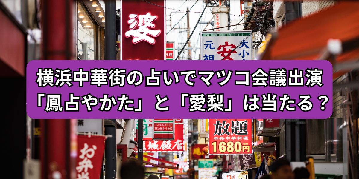 横浜中華街の占いでマツコ会議出演「鳳占やかた」と「愛梨」は当たる？