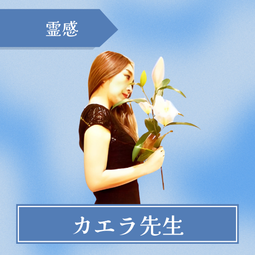 電話占いコメット カエラ先生