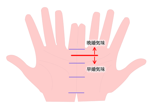 結婚線の見方 結婚線の見方
