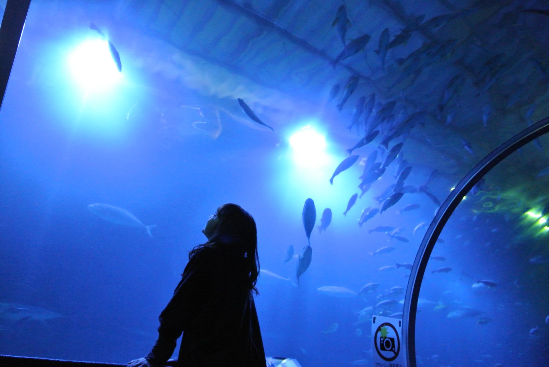 水族館でのデートを楽しんでいる女性