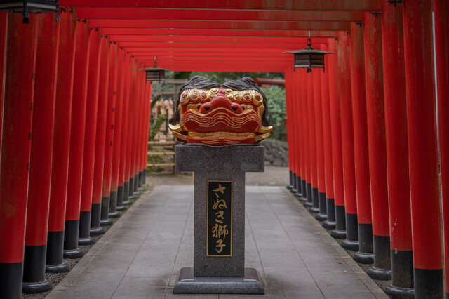 田村神社のさぬき獅子