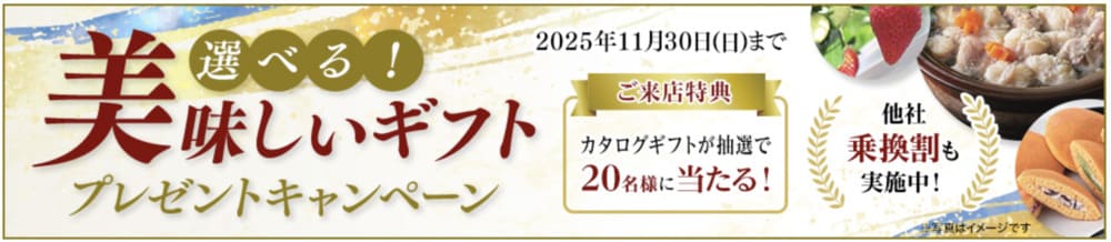 パートナーエージェント11月のキャンペーン