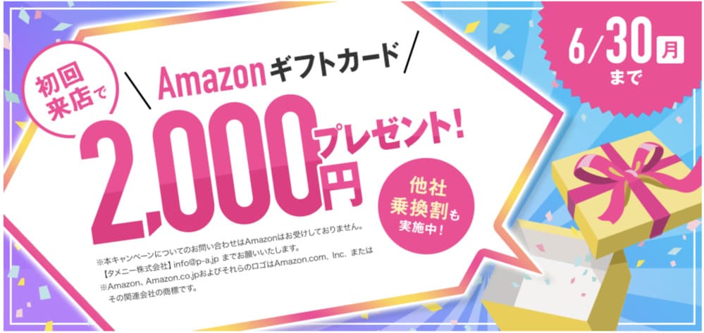 パートナーエージェント6月後半キャンペーン