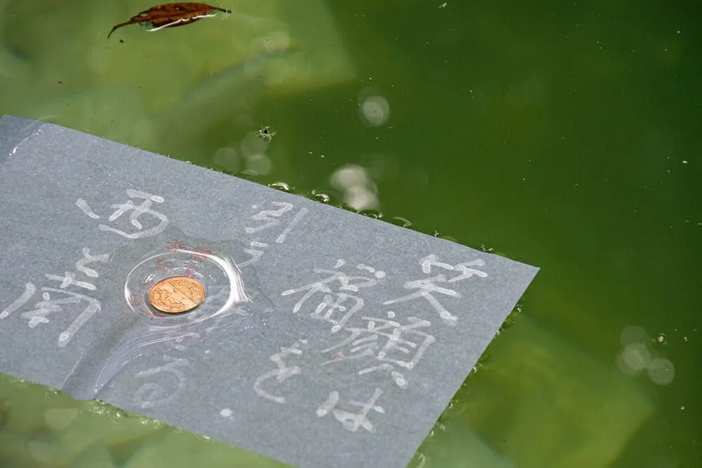八重垣神社の占い