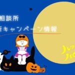 2025年結婚相談所10月のキャンペーン情報