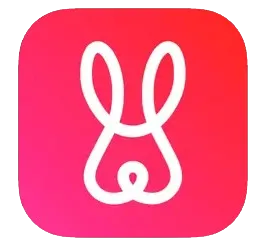 Ravit（ラビット）アイコン