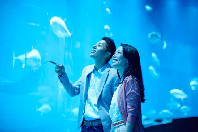水族館でデートする男女